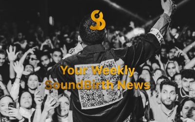 🚀 Major news: Premium MAX now only €59.99/year for all artists!